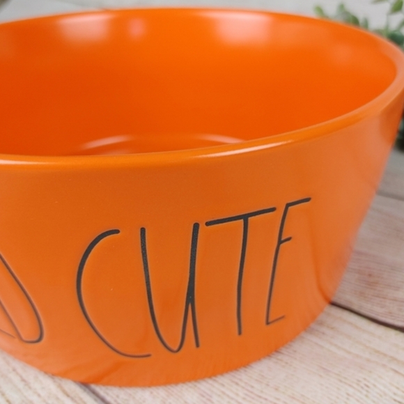 Rae Dunn WICKED Dog Bowl 8" Halloween Fall decor pet - Picture 3 of 4